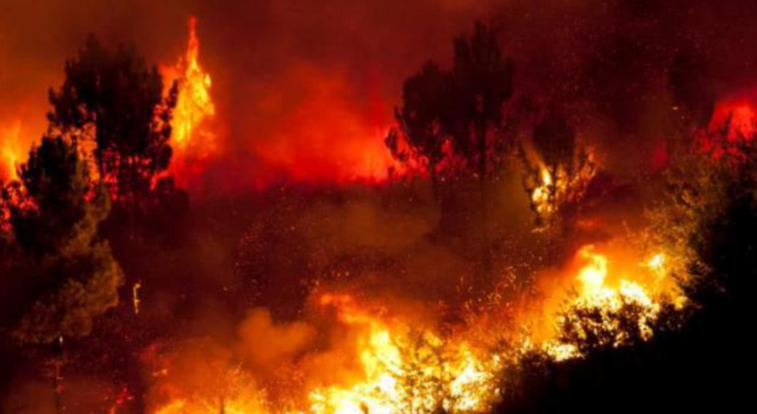 йɳĮɭֿ֣ȴ67%ȵĸԴҵˣ