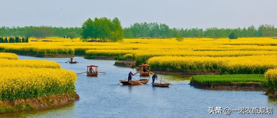 乡村之所以衰败，一个重要的原因是乡村缺乏产业支撑