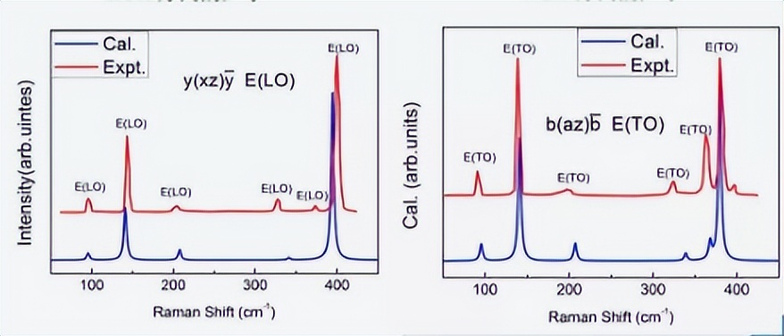 拉曼光谱解析步骤(用拉曼光谱技术追踪和分析载体蛋白质的运动)
