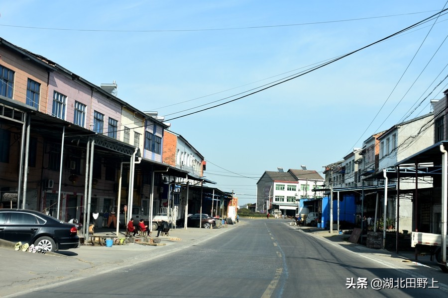 見(jiàn)證一個(gè)柑橘產(chǎn)業(yè)大村——鴉鵲嶺鎮(zhèn)云臺(tái)村回訪小記