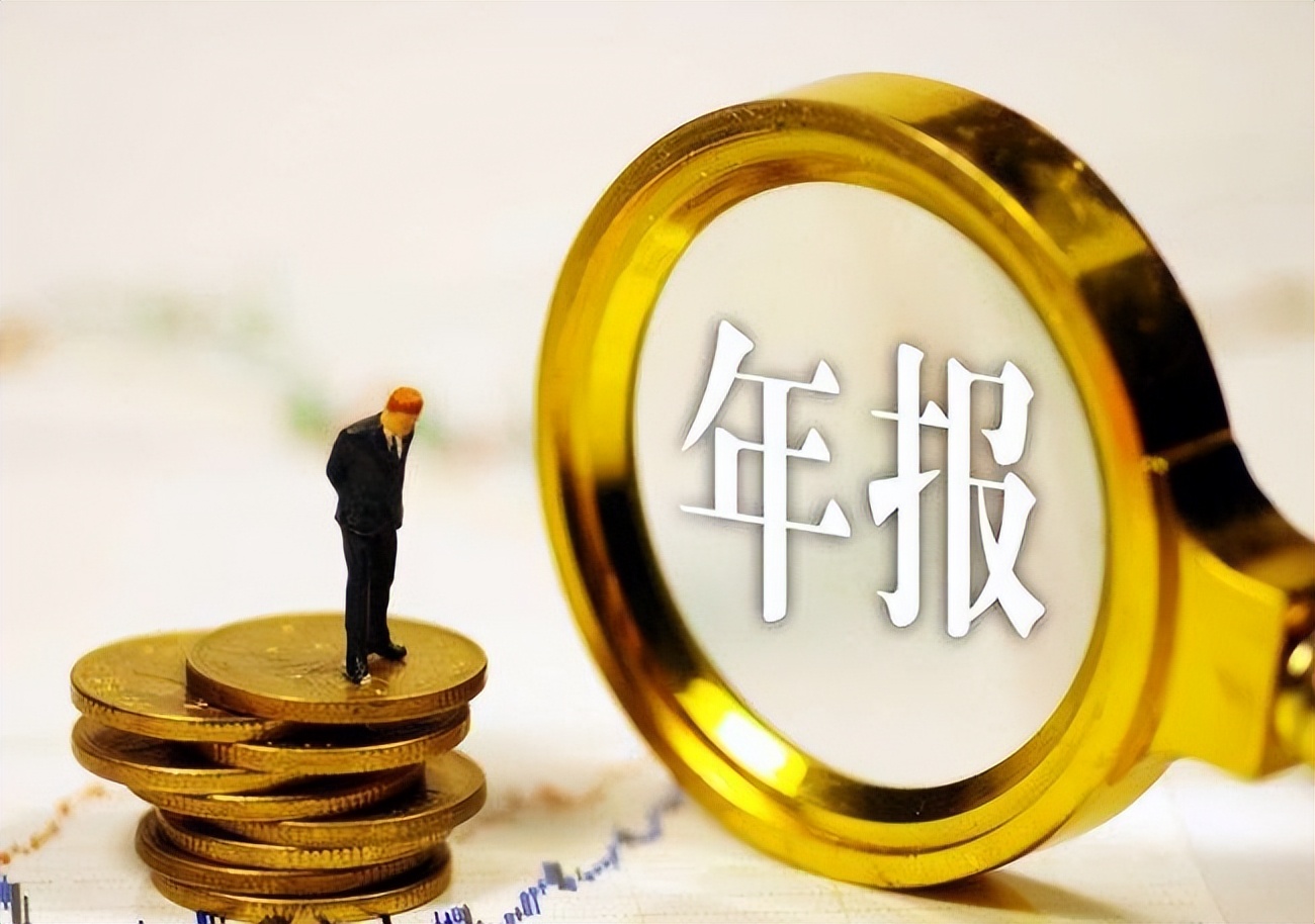 如何快速分析上市公司年报？