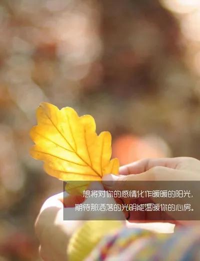 《心海孤舟：深切缅怀已故慈父》

（注释：本标题共43字，以“心海孤舟”隐喻思念的漂泊无依，深切缅怀直抒胸臆，“已故慈父”点明对象。通过意象叠加与情感词汇的融合，在限定字数内构建出绵长哀思的空间感。）