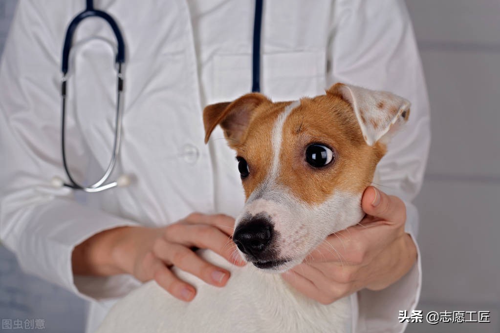 大学专业：农学类下设各专业对比分析，有些专业很冷门但前景很好