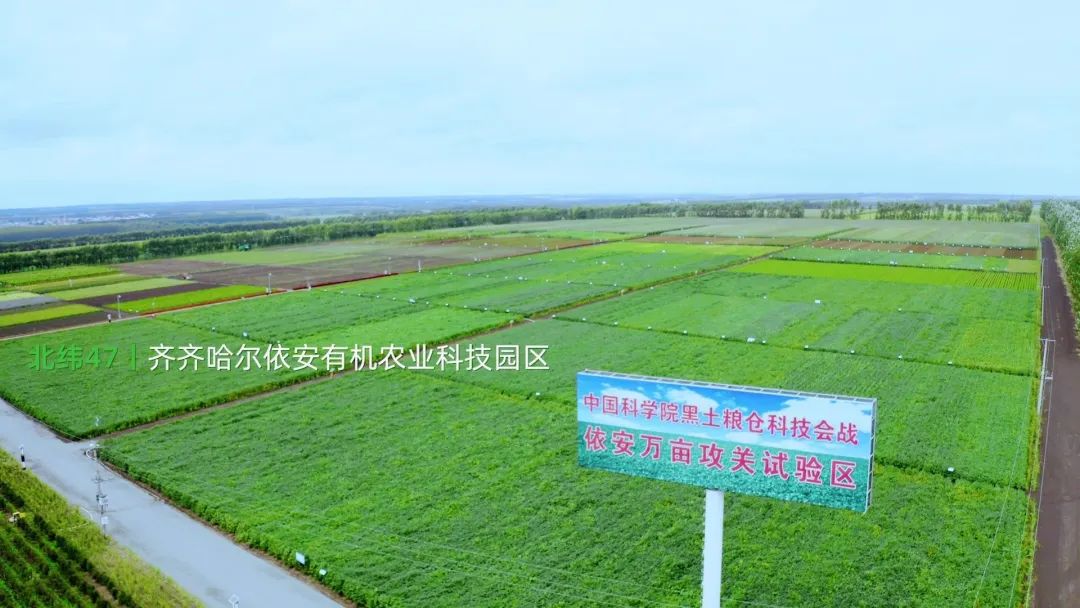 餐饮业进入“强供应链”背书时代，北纬47度鲜食玉米出圈