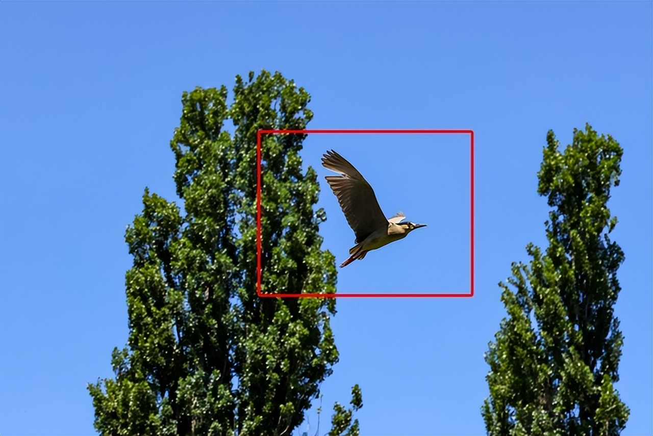 佳能EOS R7评测：全能的便携微单相机