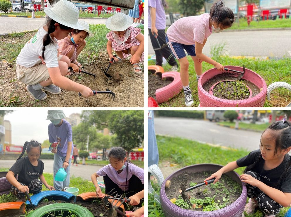 快乐种植周 悦享大丰收 华辰嘉园社区青少年暑托班开展劳动实践活动