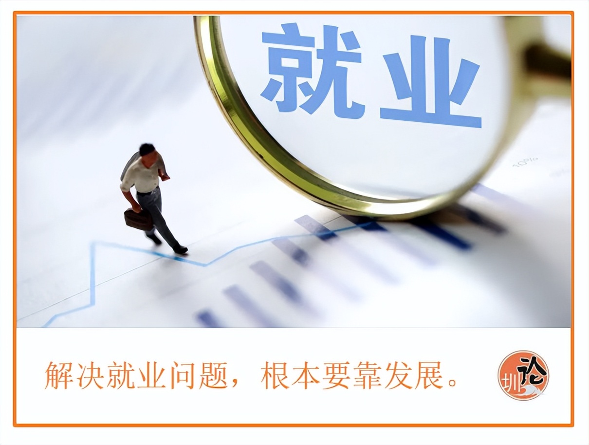 大学生就业市场（特评丨破解高校毕业生）