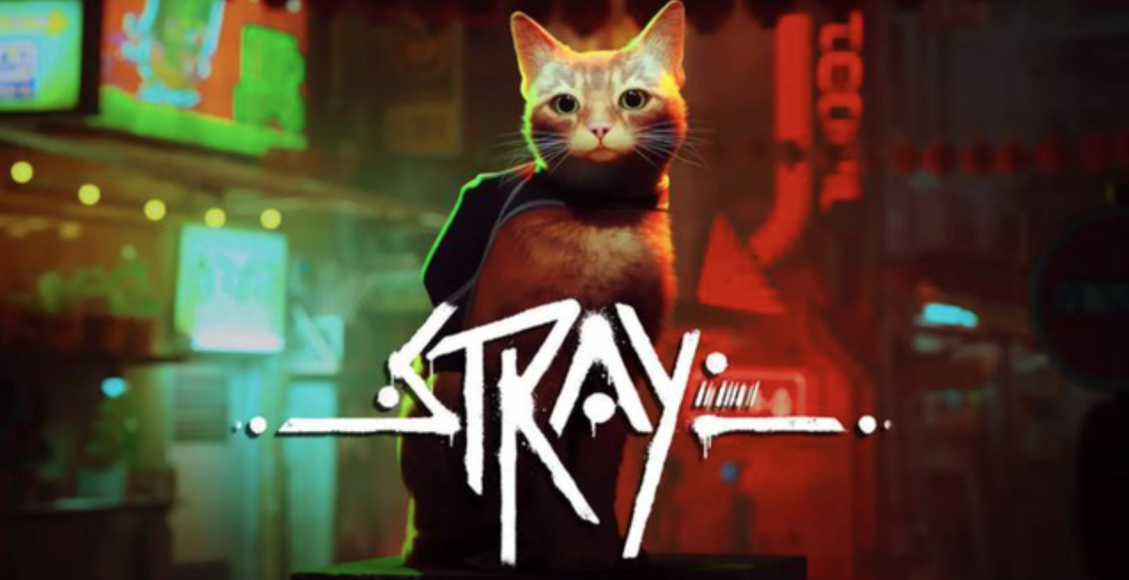 号称伟大的“猫”片！迷失的小橘猫来了，AMD平台暴走Stray