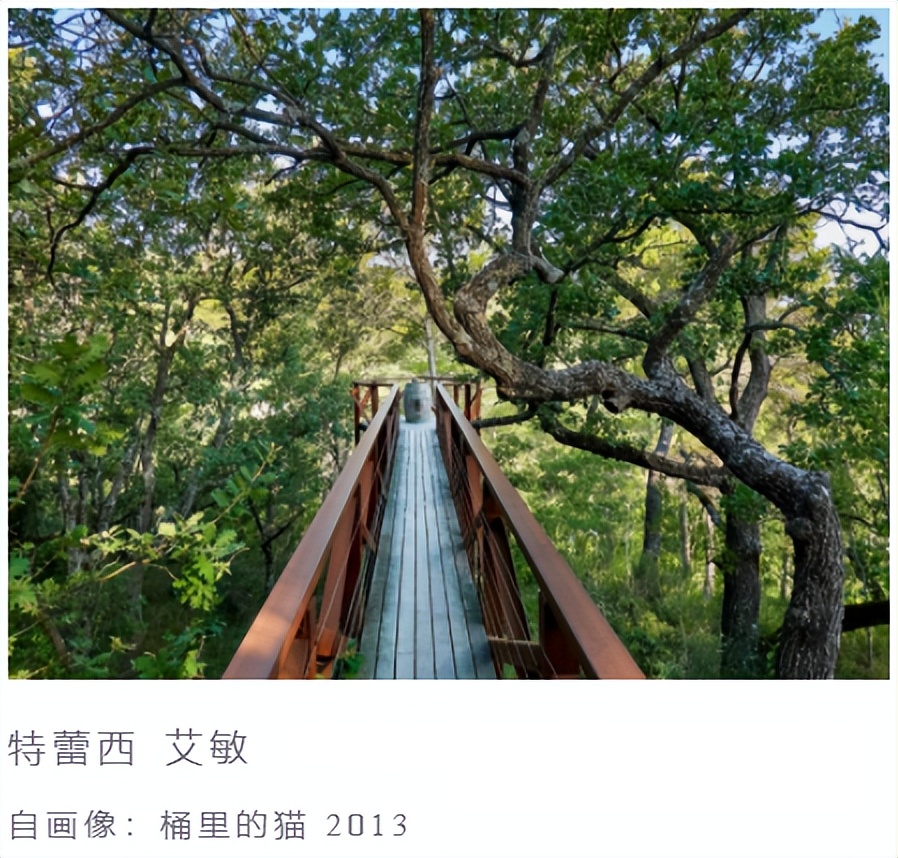 建筑界的木桶酒标大集，普利兹克大师云集的拉寇特酒庄