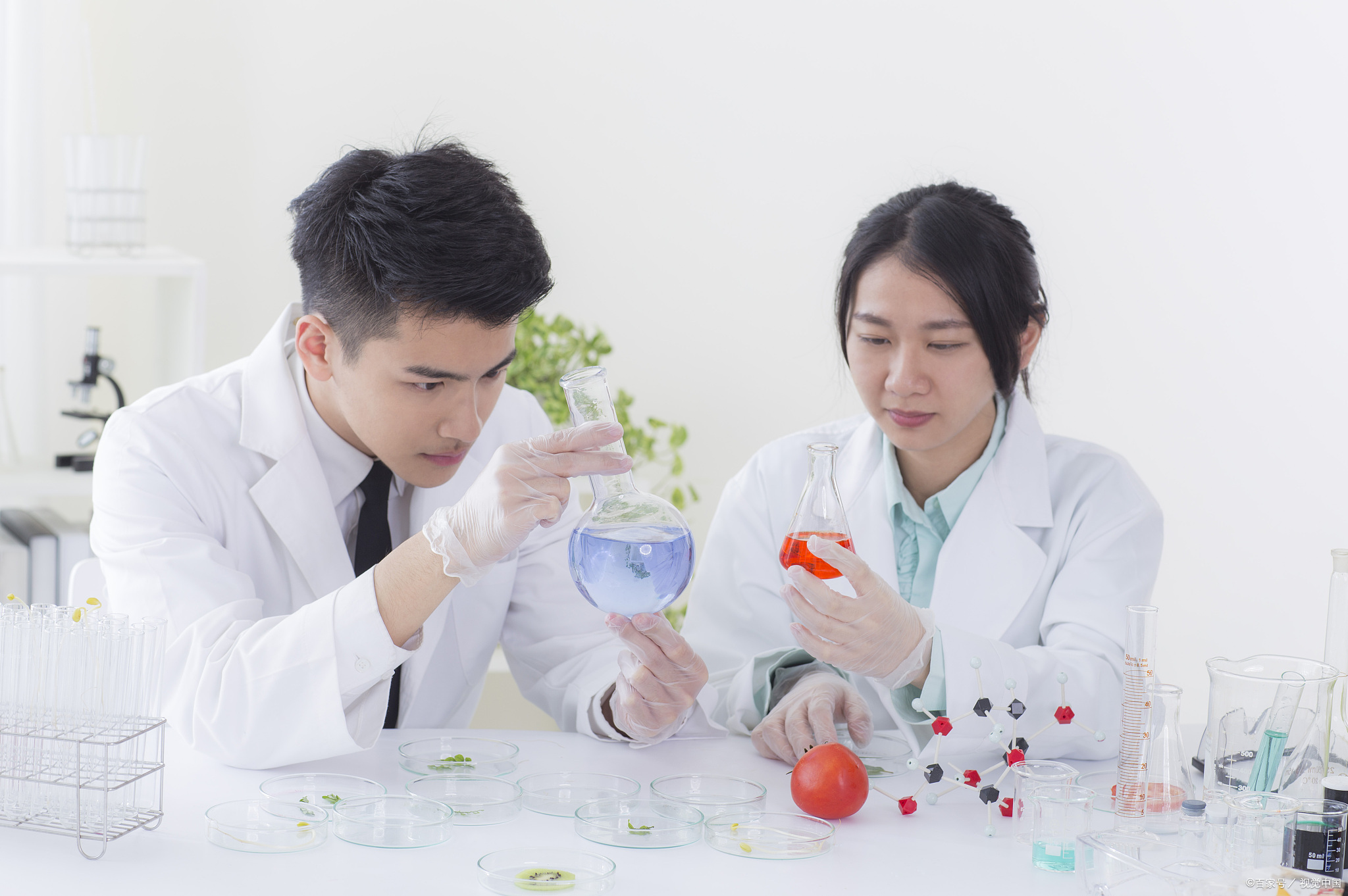 生物学专业：真的是坑？毕业后可以从事什么行业？好不好找工作？