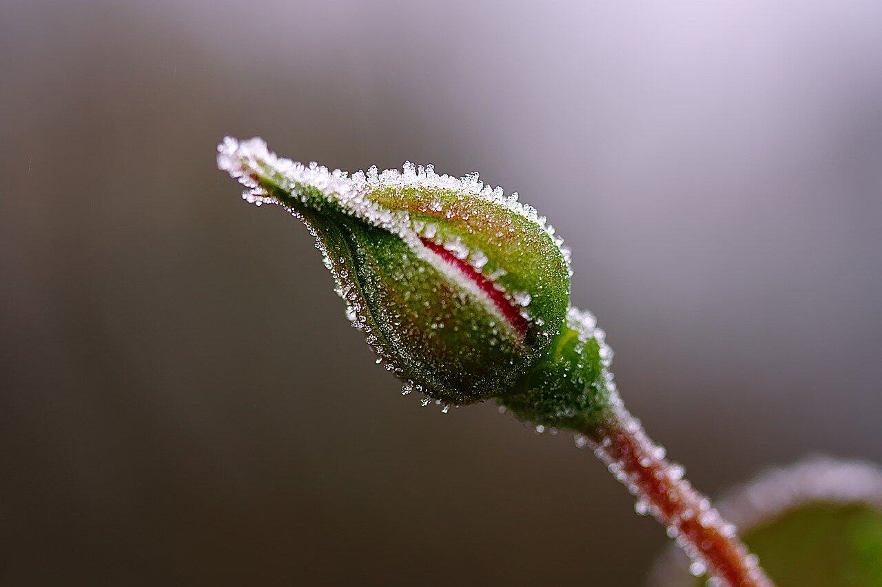 华为云 CTO 张宇昕：云原生实践的四个关键理念