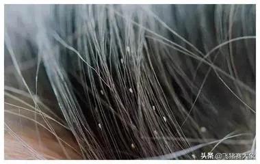 ʭ3xingͷʭ3xingô-Ʒ