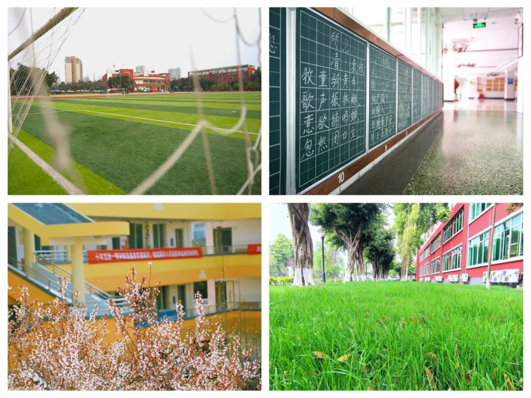 绵阳教育“老兵”落定成都为明学校，再续清北传奇