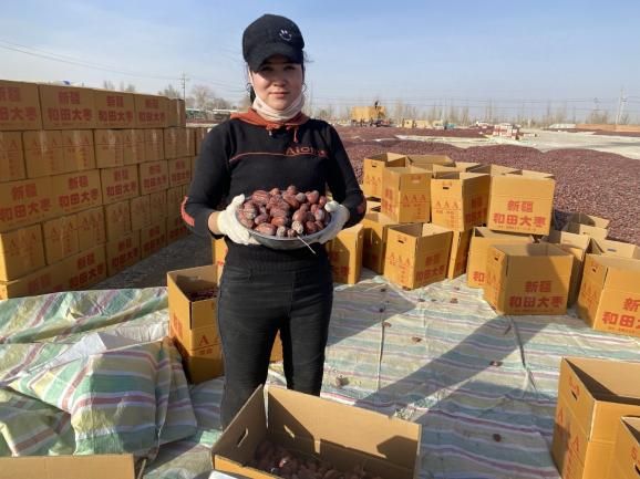 捡枣、筛选、拉运，一包和田玉枣背后的故事
