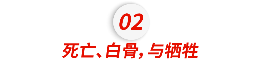 吸毒男星复出拿影帝，缉毒警察的命谁来还