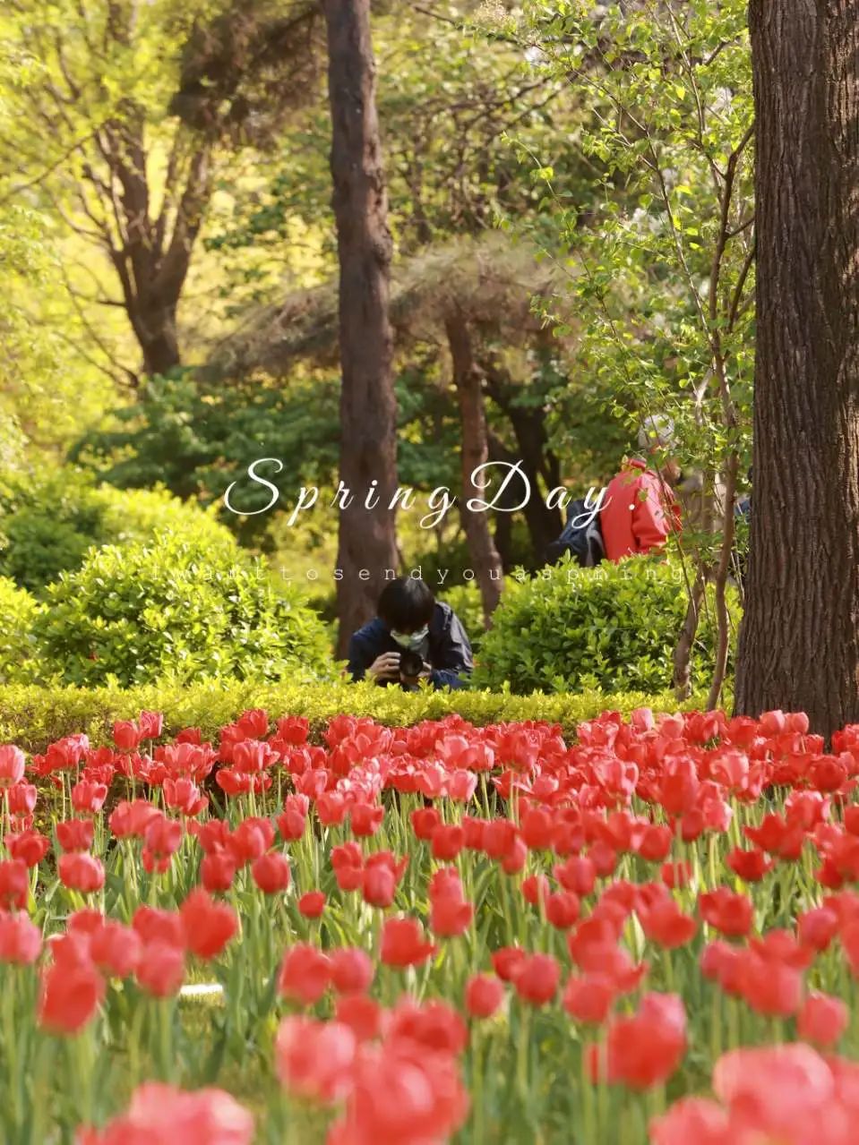 “郁”见花海，“香”约迎泽