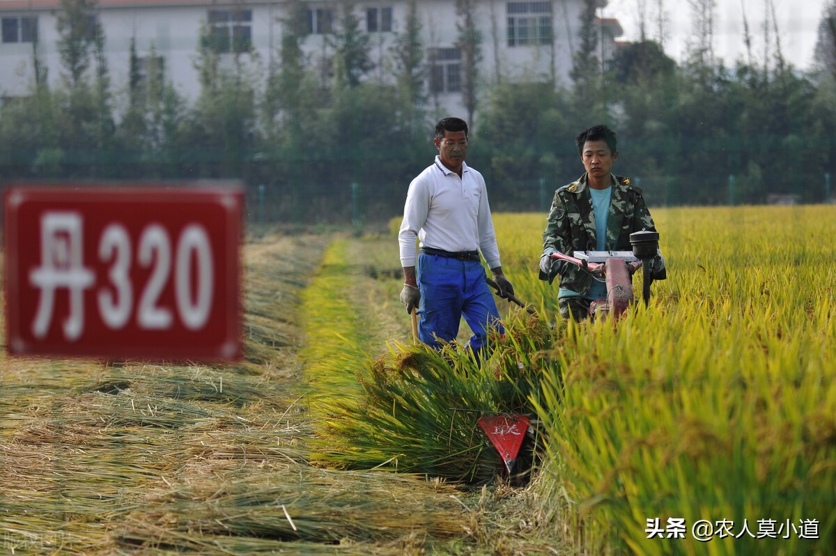 去年发放农民补贴200亿，你领到了多少？谁种地谁受益