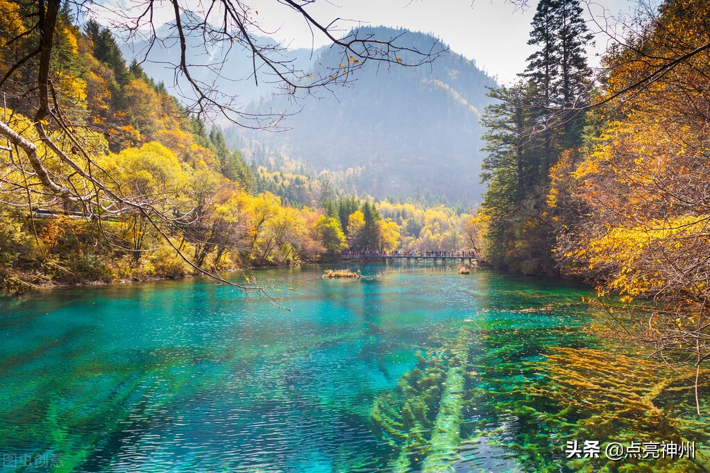真正让人称奇的风景(令人惊艳的风景) - 趣味头条