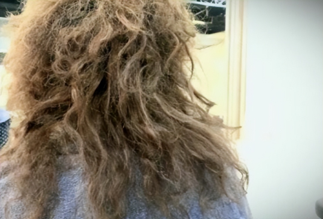 靠女儿上热搜？黄磊夫妇到底在干什么