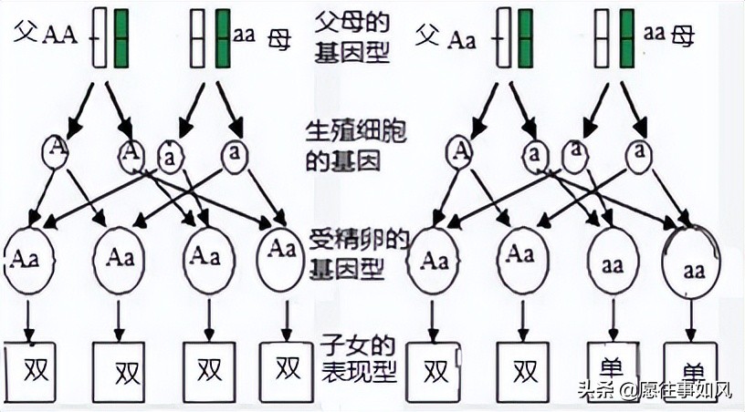 亲子鉴定费用要多少(讲讲我在司法鉴定所「亲子鉴定」遇到的奇葩事3)