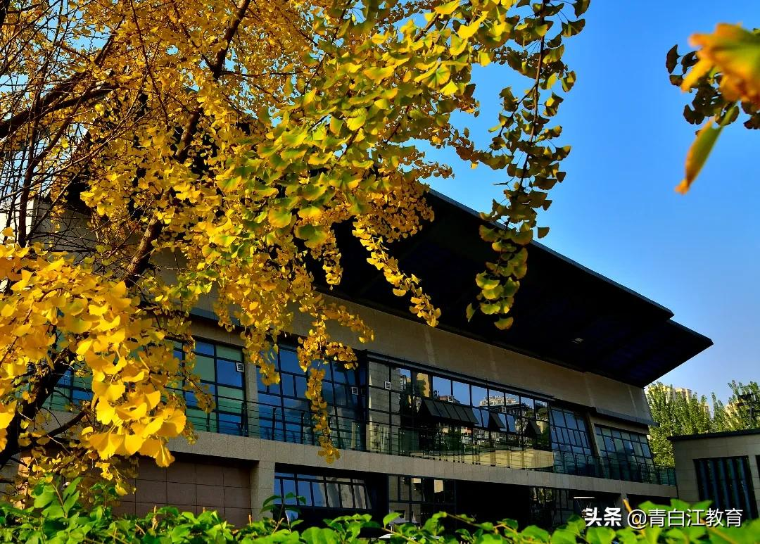 秋冬美图来袭① | 为你喜欢的校园美景投票吧