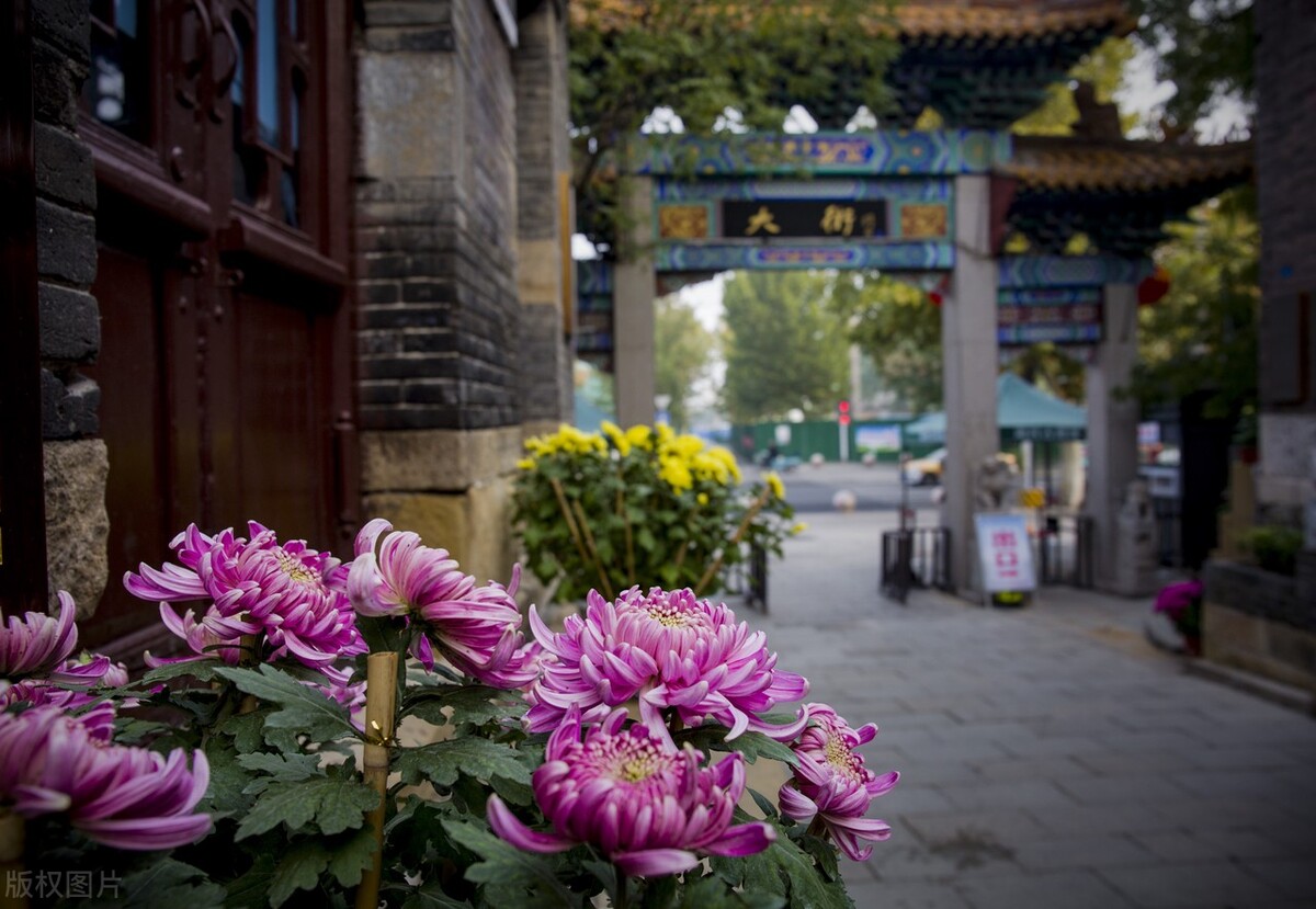 单招怎么选学校，过来人总结四种类型的单招学校，请“对号入座”