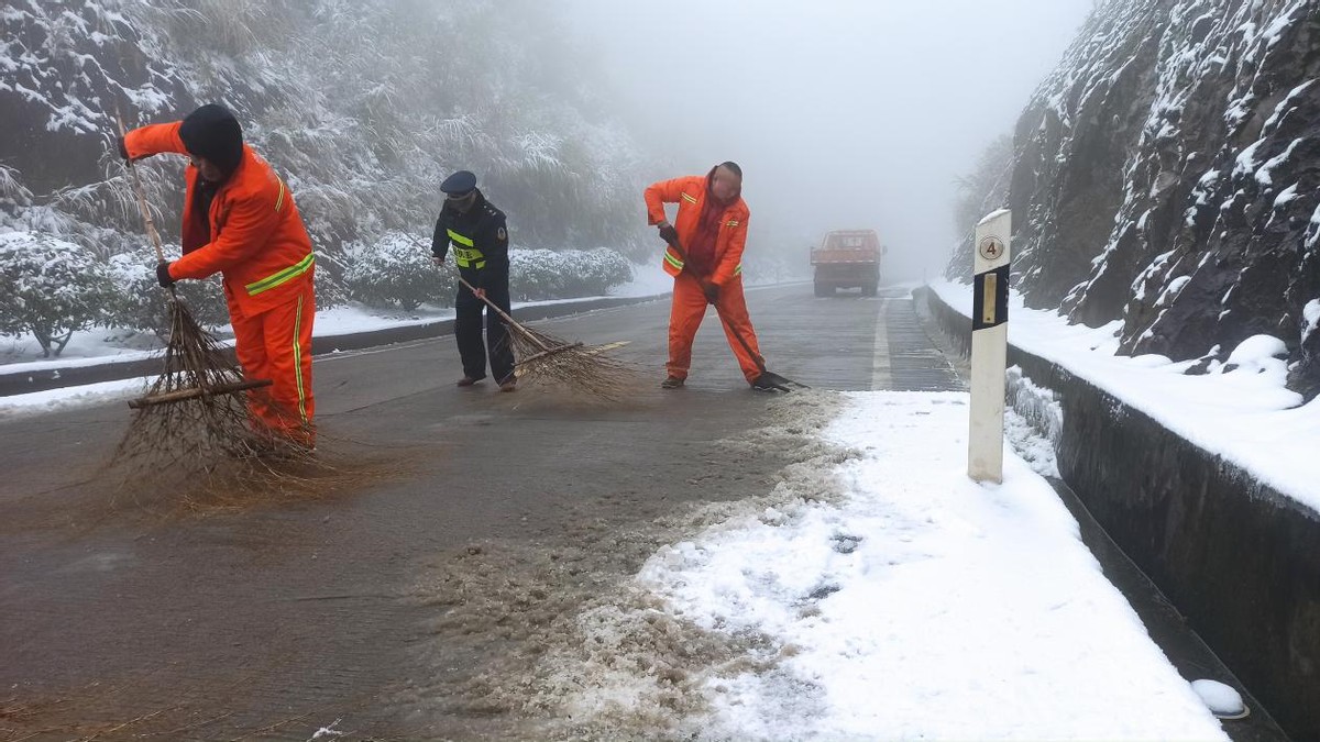 德国瑞典油锯353(迎雪而上，除雪保畅)