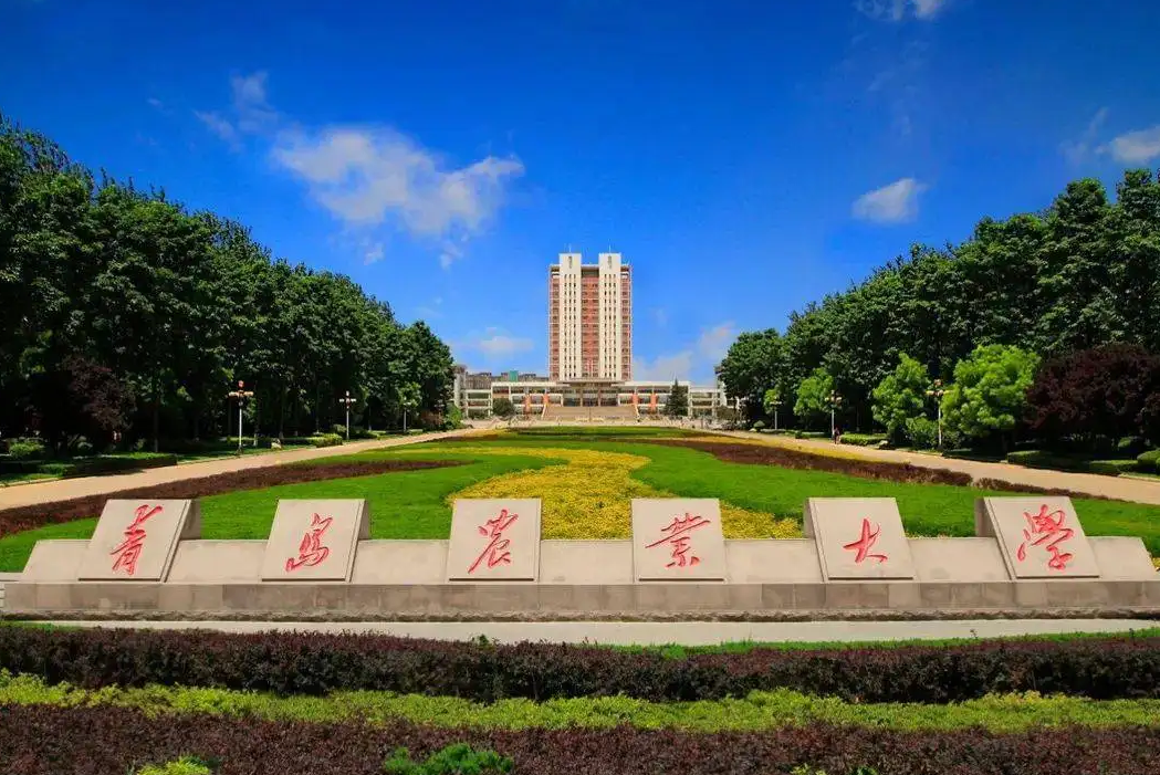 青岛农大拍“毕业合影”，校长微笑配合三小时，既可爱又心疼