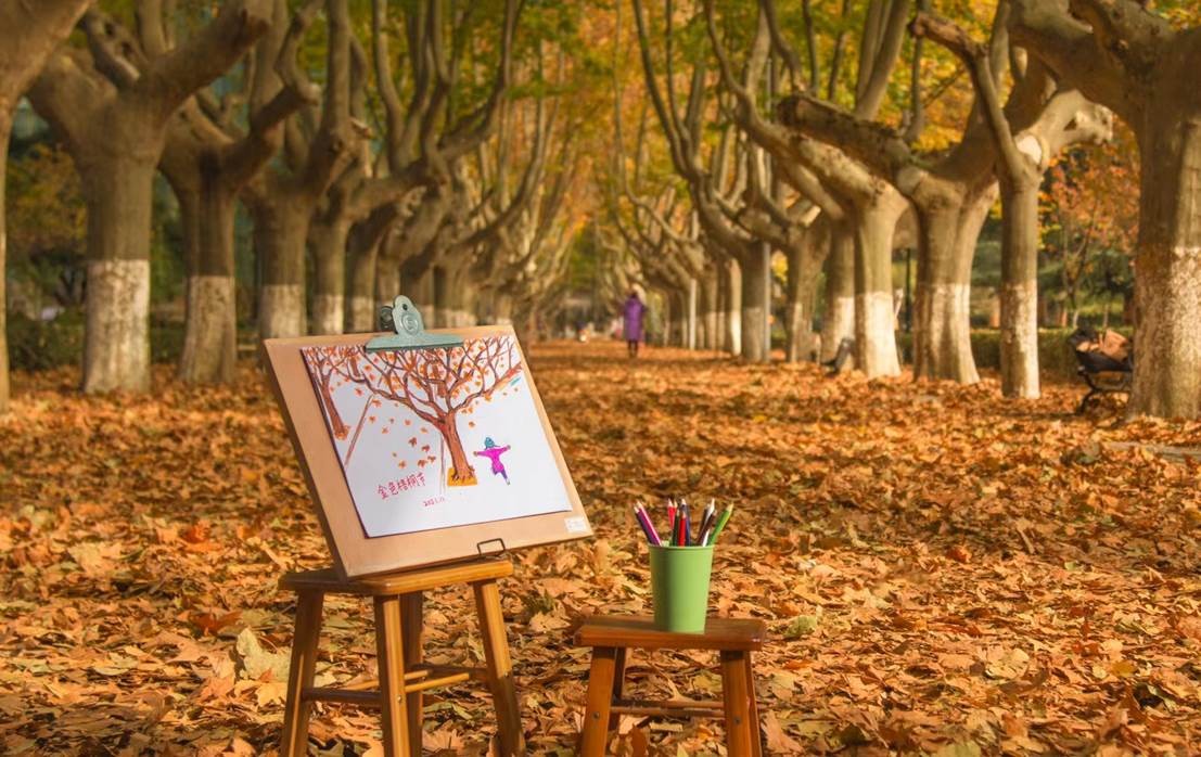 惊艳！陕西“4姐妹”：全员985学霸，全部高颜值，关键住在同一间宿舍！