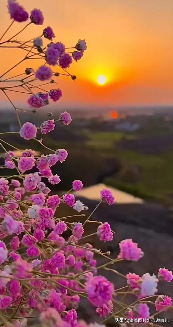 壁纸美图,美的风景为您带来愉快的心情