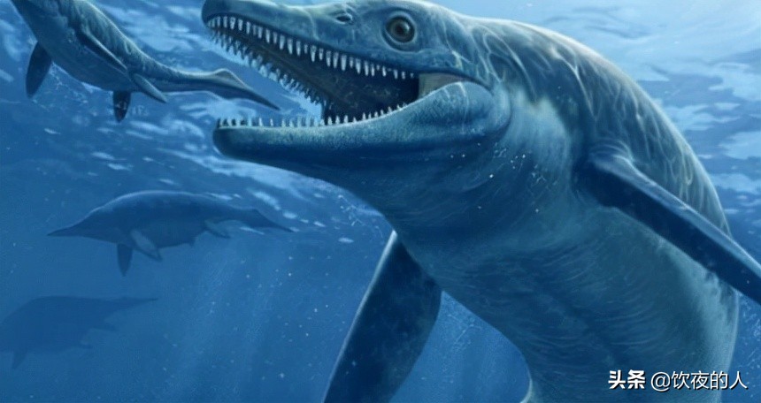 已灭绝的十大鲨鱼，已灭绝的十大鲨鱼有哪些？