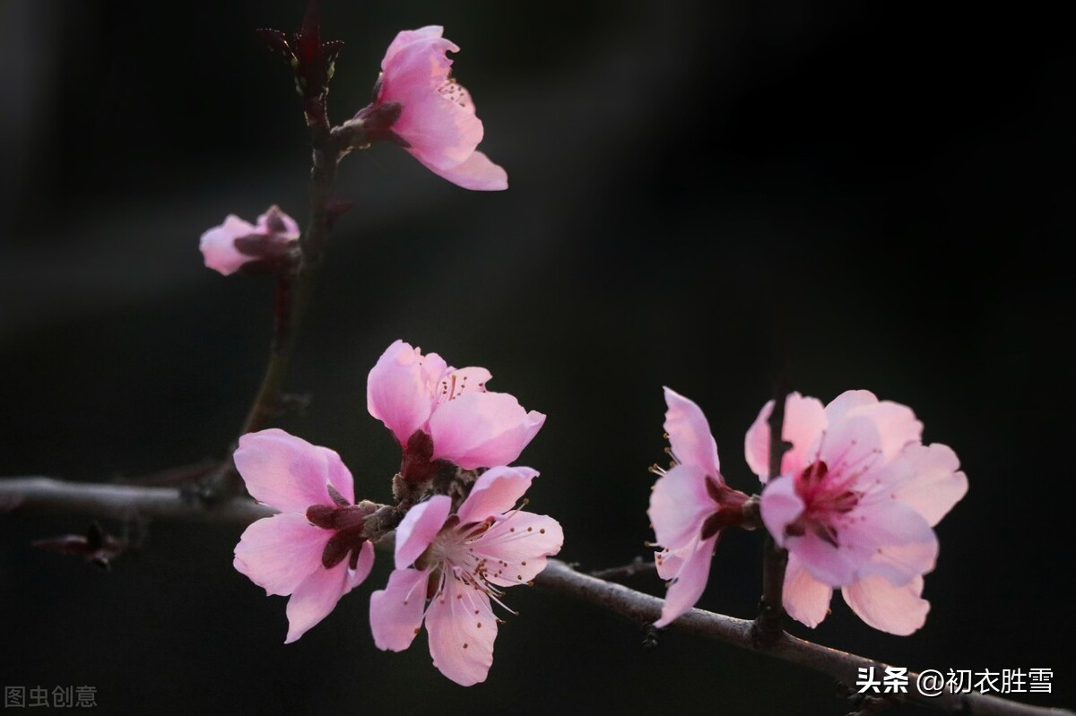 给等待春天的你(初冬小春明丽美词五首赏读：小春天气恼人浓，野花犹向涧边红)