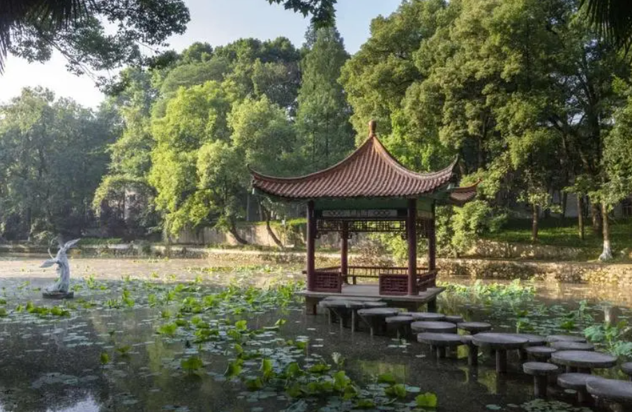 一所大学太“奢华”，校园堪比小县城，几十个食堂还有地铁站