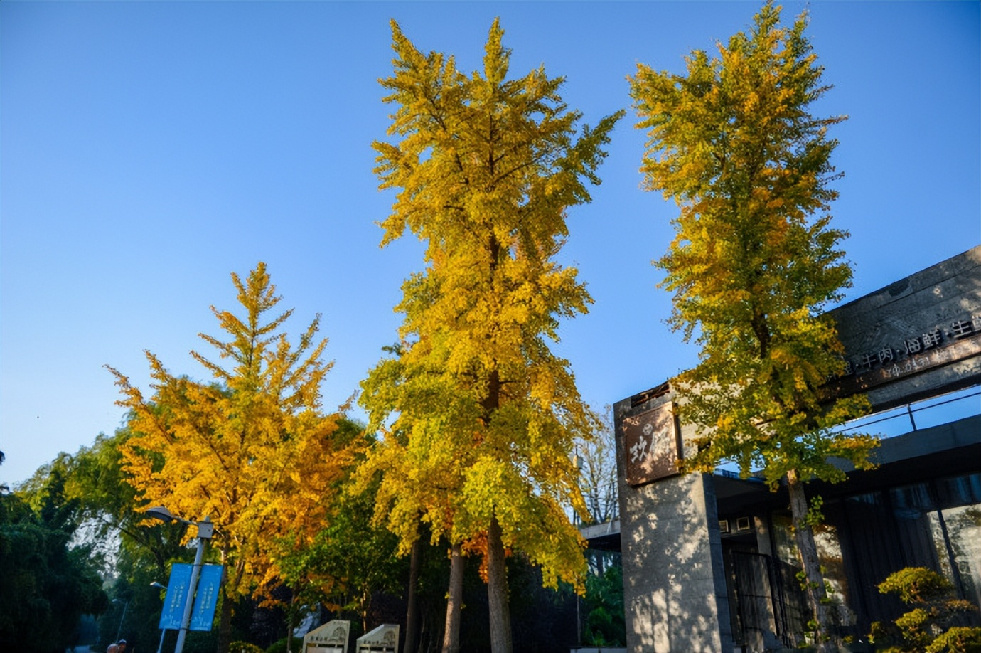 济南有哪些旅游景点（山东济南有哪些旅游景点）-第39张图片-科灵网