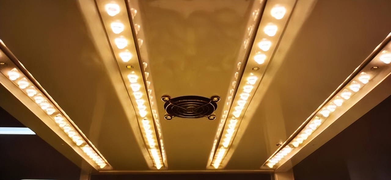 北理工学子用AI种出“零碳”零农残的绿色“科技蔬菜”