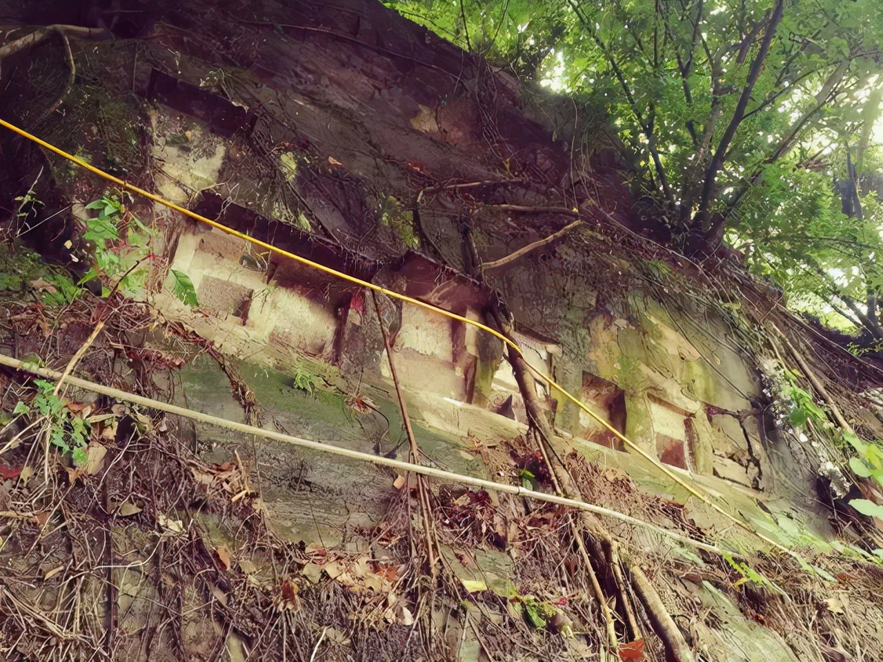 重庆沙滨路上的悬空道观后，藏着神秘岩葬群和荒废的豪宅