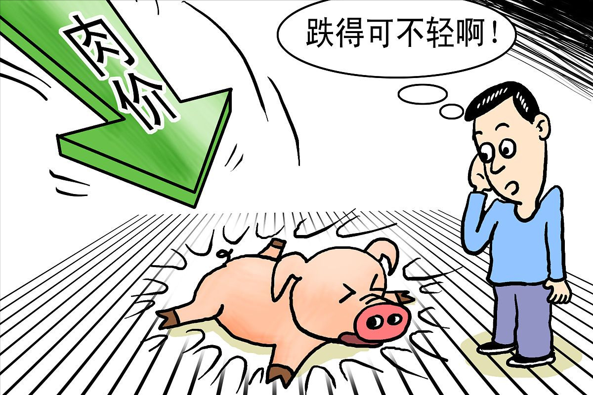 通辽今日大肥猪价格，今日重庆肥猪价是多少钱一斤