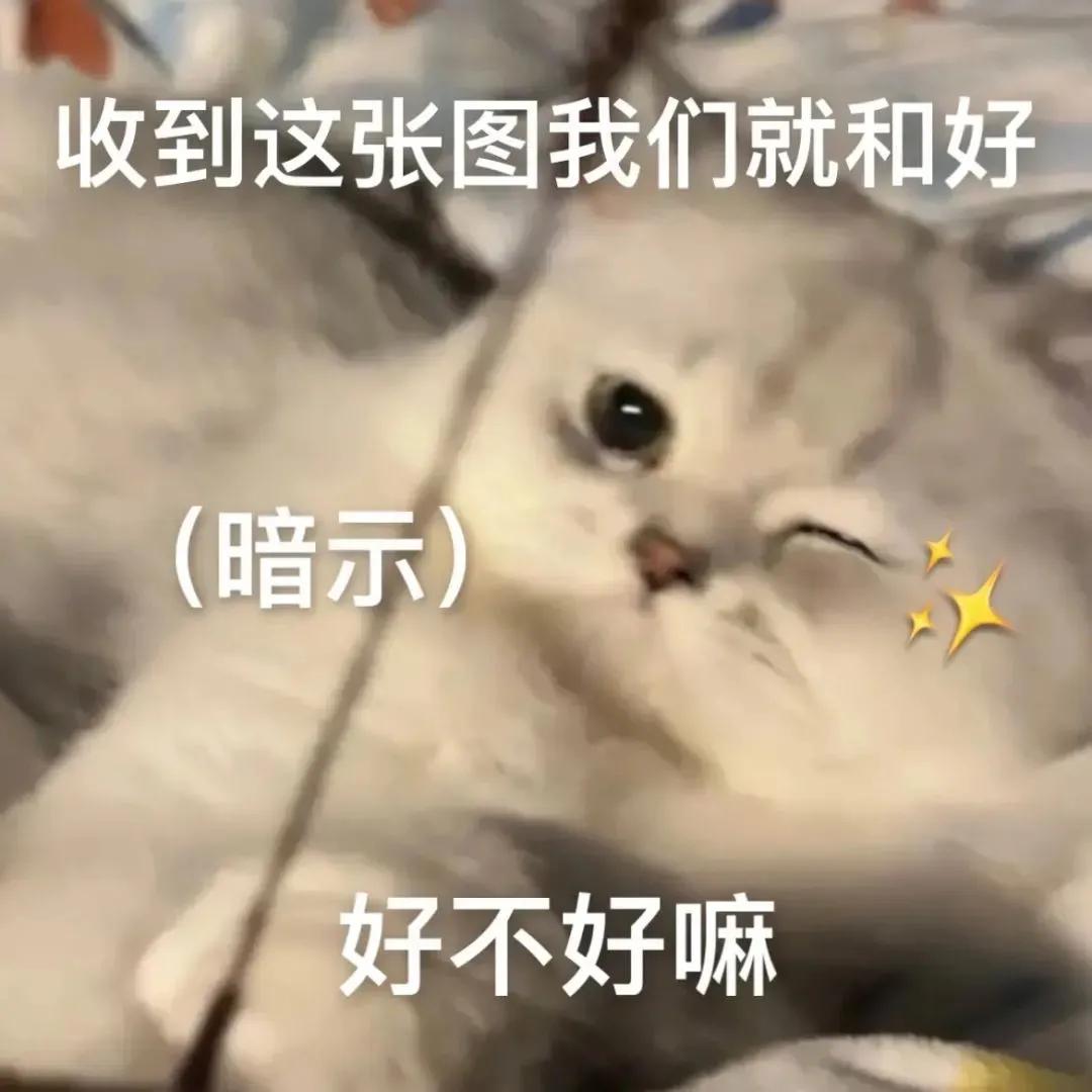 胖也有错吗可爱猫咪表情包