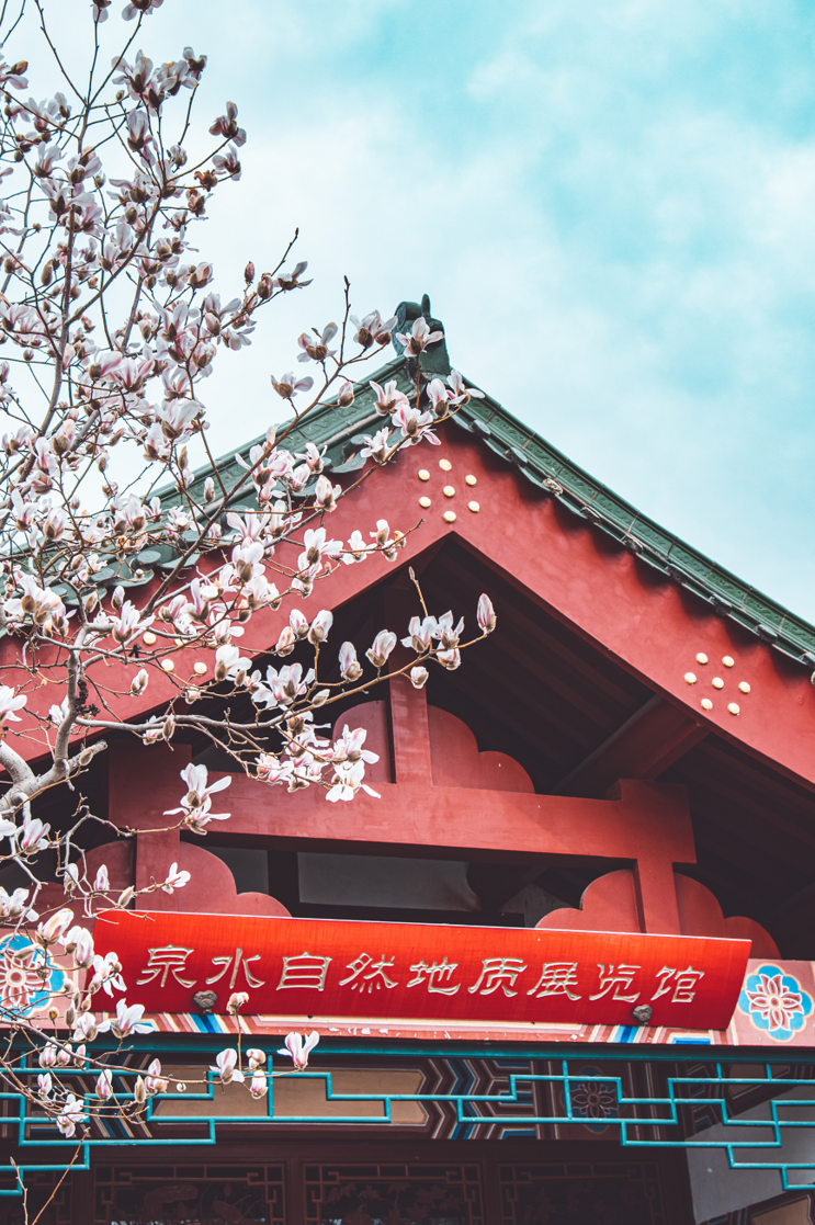 你一句春不晚，我就到了曼妙的山东！