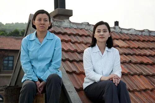 女人进城电视剧大结局(女人进城大结局介绍) - 风集网