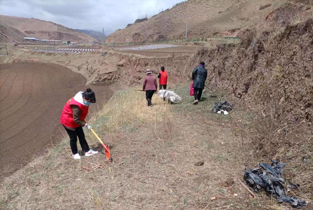 生态筑梦，绿色先行——临潭县开展山水林田湖草沙系统治理和公路沿线环境整治活动