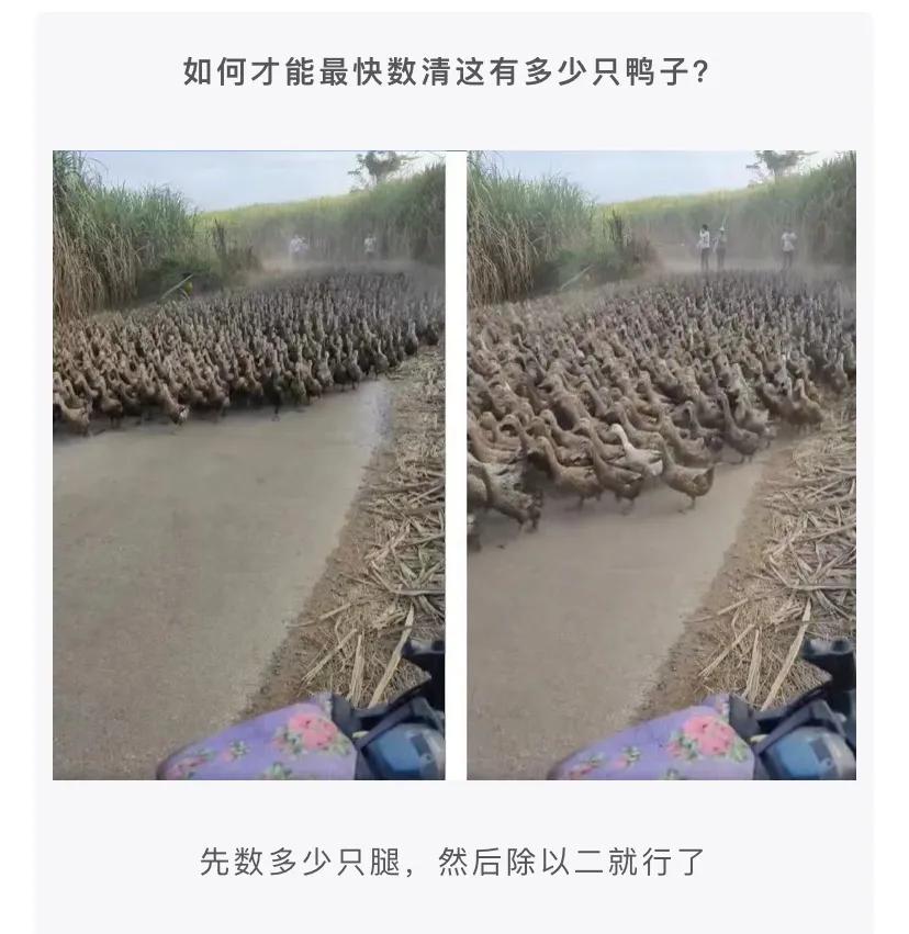 神评段子合集：准备拜访老丈人，提这些礼品过去一定会夸我懂事