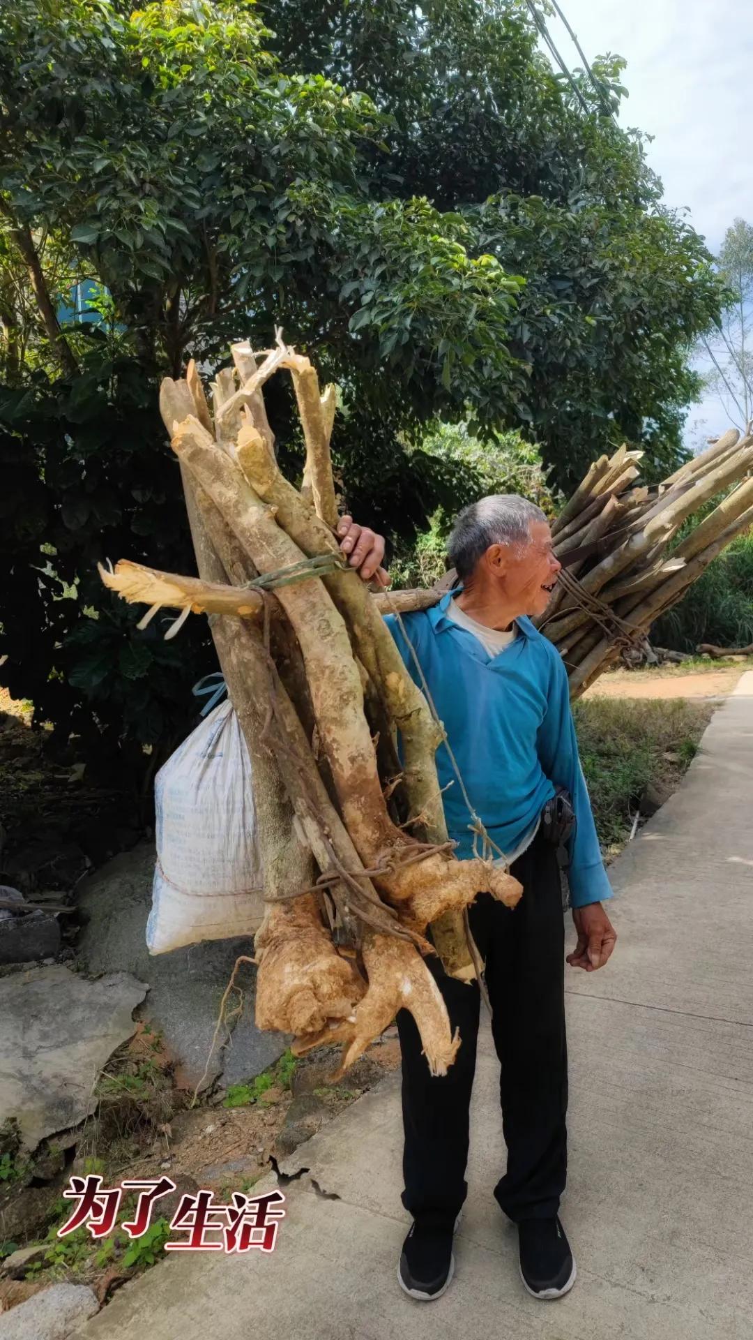 生命不息，劳动不止