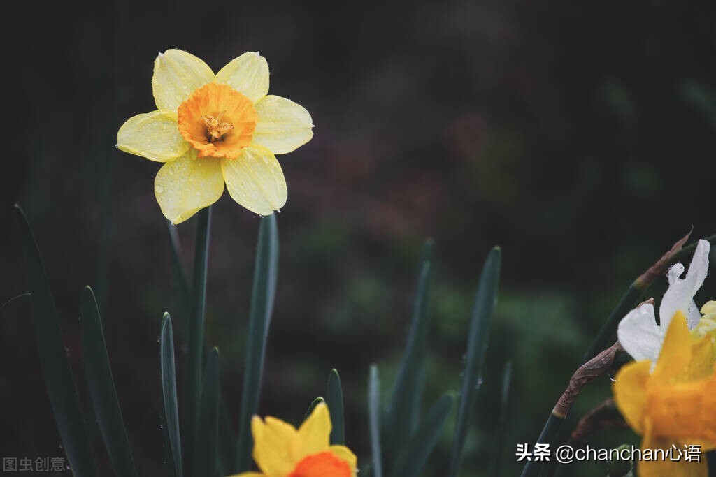 纪录片《出路》：今时今日，知识是否还能改变命运？