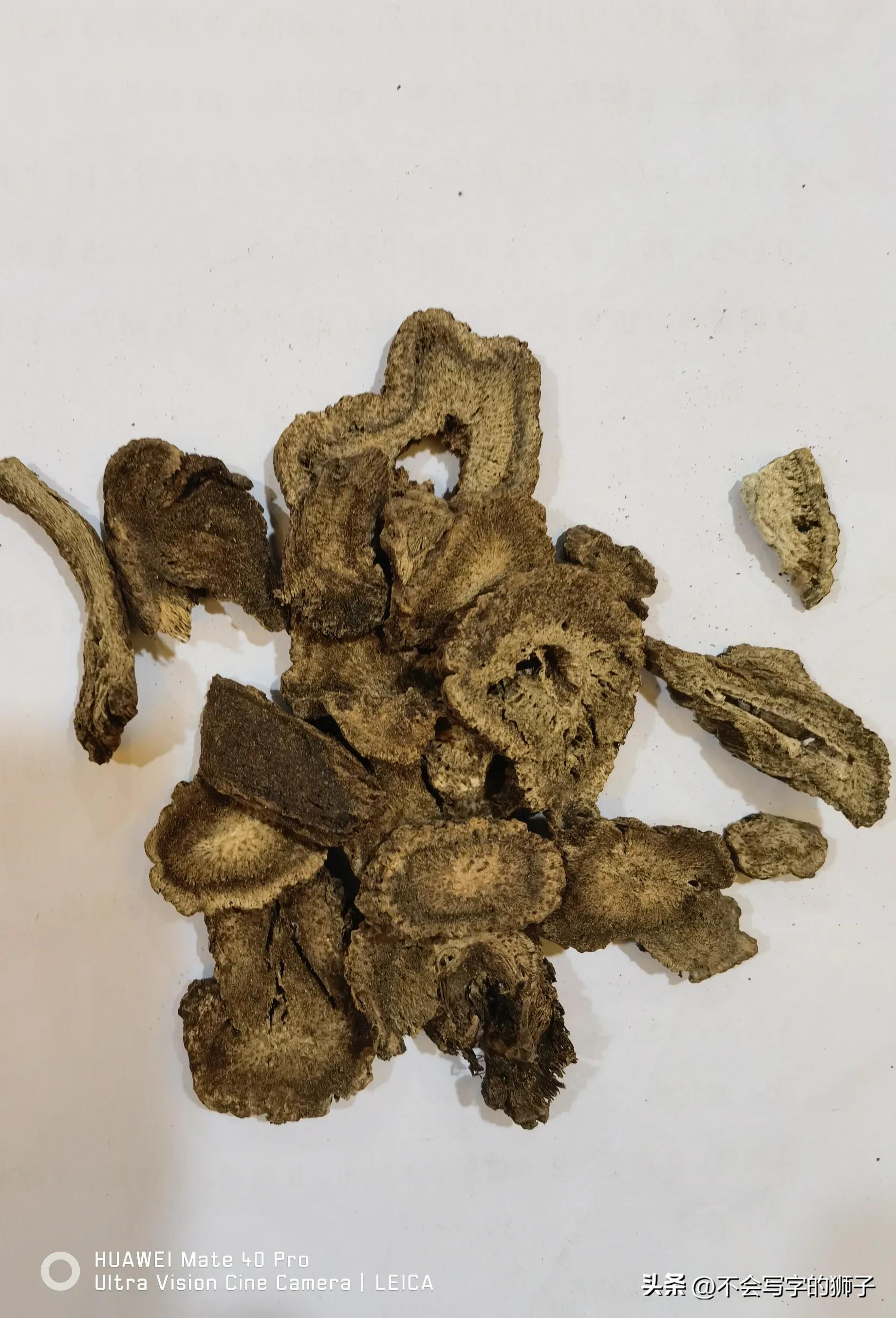 木香饮片一,行气止痛,健脾消食.二,主要含有挥发油,木香碱,菊糖等.