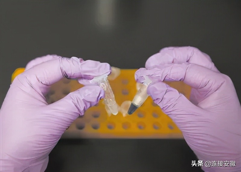 今年中国科技10项重大突破，4项在合肥