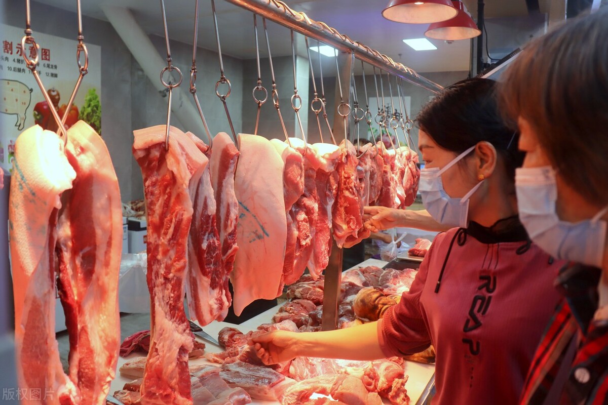 亳州今日猪肉价格多少钱一斤（猪肉价格今日价走势全国）