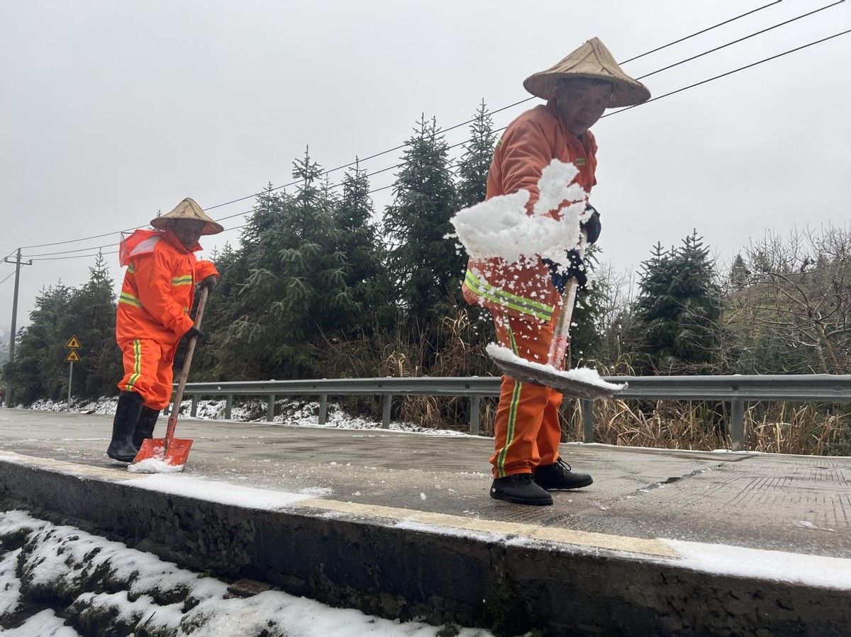 德国瑞典油锯353(迎雪而上，除雪保畅)