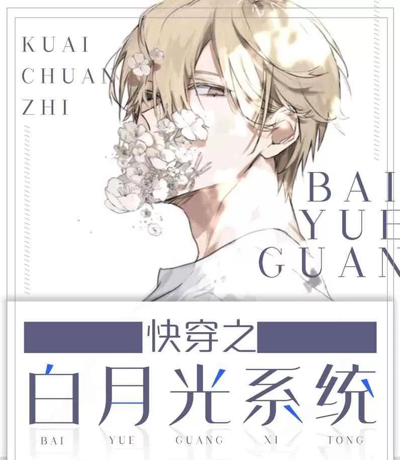 经典耽美小说TOP榜：高评分双男主文推荐