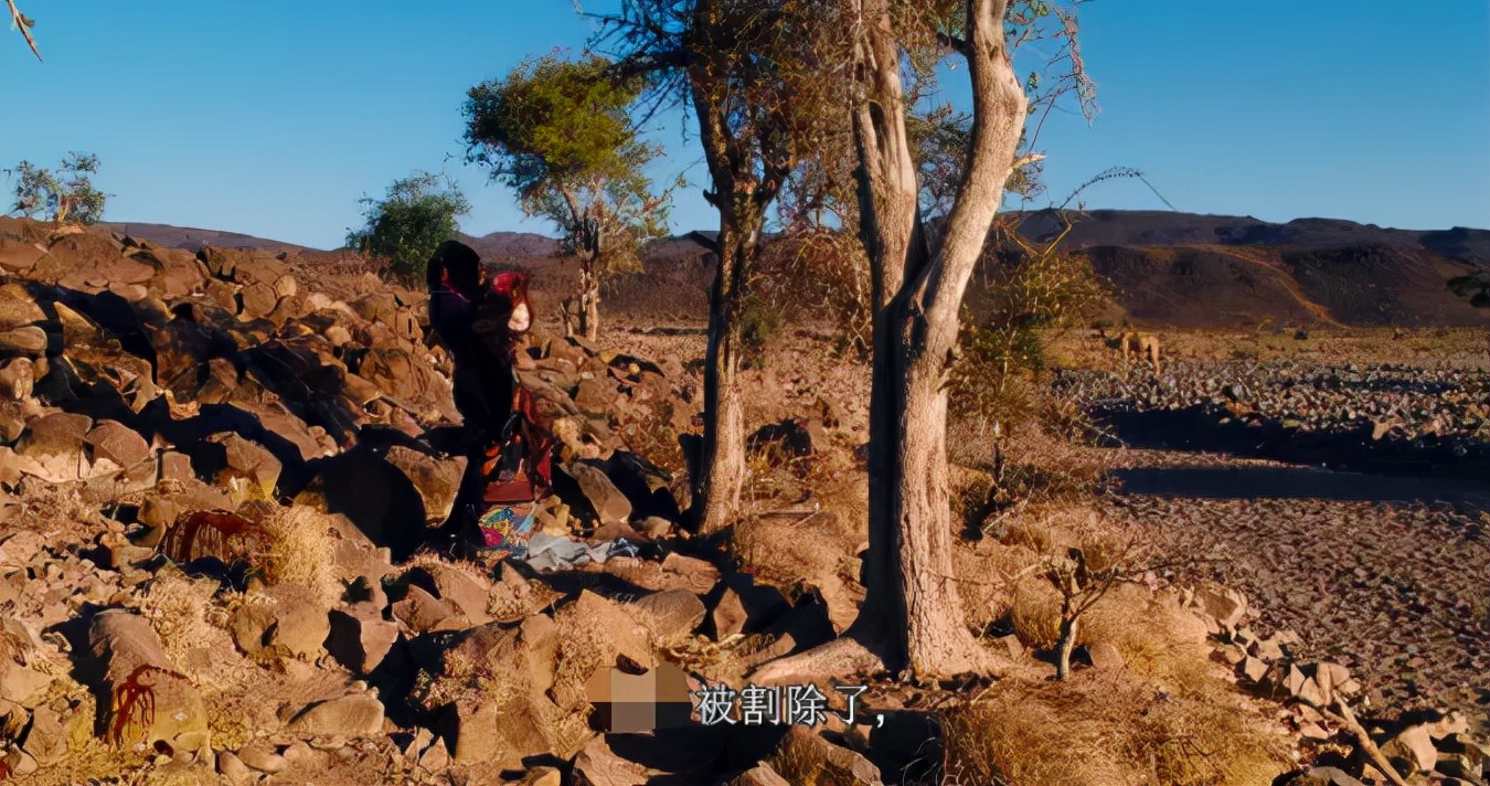 ​《沙漠之花》痛且真实：为了5头骆驼，12岁的她被许配给60岁老头
